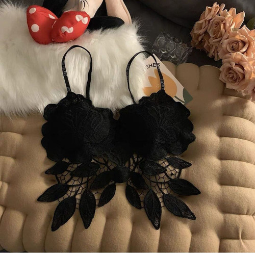 کراپ گیپوری